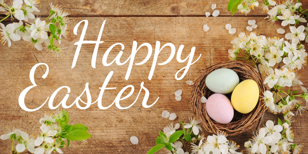 Wood background with eggs and the text 